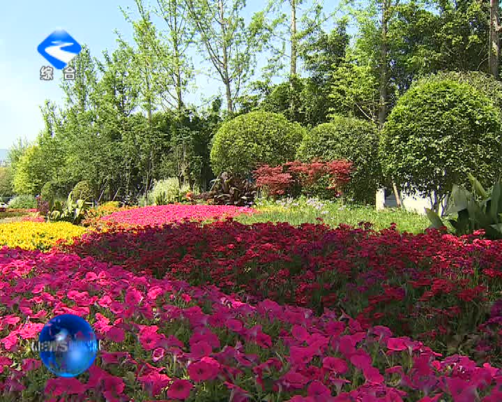 20150508万州新闻