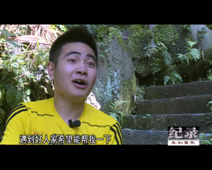 记录：生如夏花