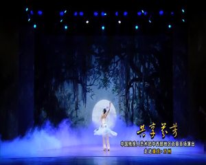  "共享芬芳"中国残疾人艺术团中西部地区百县百场演出走进重庆·万州（下）