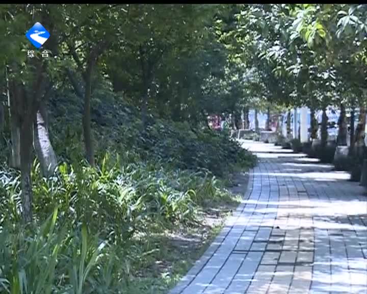 女司机火了行车记录仪 车主急加装