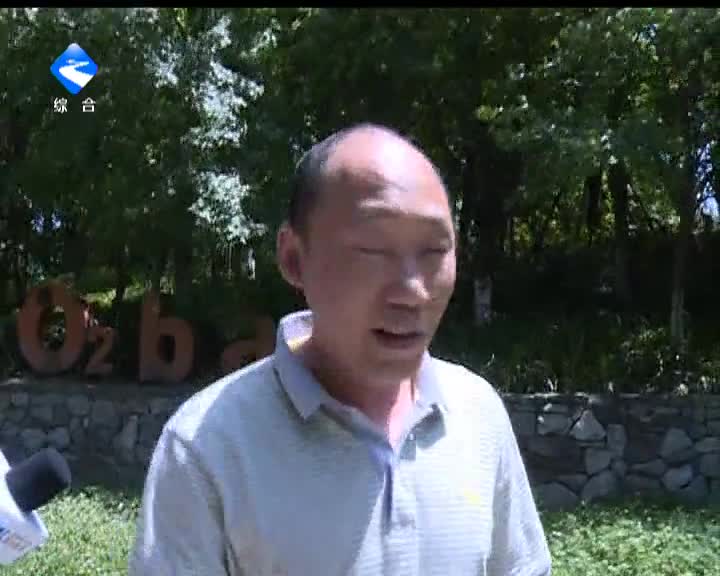 上百只嗡嗡叫的蜜蜂 地铁站里四处乱飞